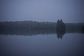 Foggy Morning